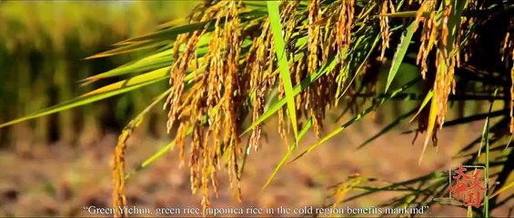 大美中国（第6集）——生态美食（英文版）The Great Beauty of China Episode 6 Ecological Food Production