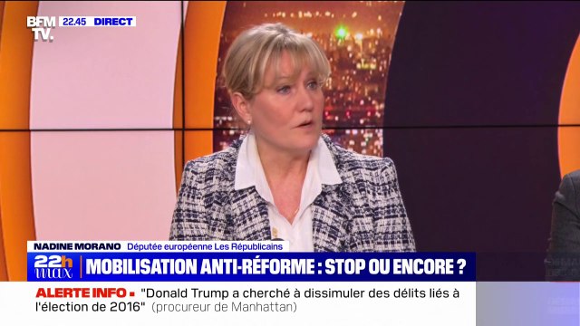 Pour Nadine Morano (Les Républicains), la réforme des retraites est un grand gâchis