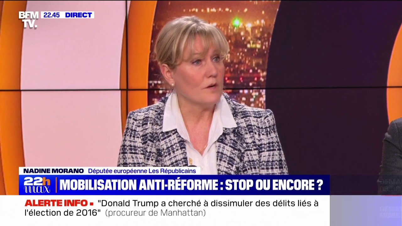 Pour Nadine Morano (Les Républicains), la réforme des retraites est "un grand gâchis"
