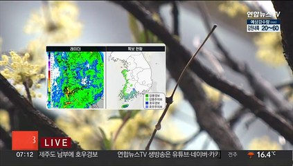 [날씨] 내일까지 전국 봄비…강풍 동반 집중호우 주의