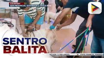 Malawakang bakunahan vs. rabies, isinagawa sa Surigao Del Norte kasabay ng Rabies Awareness Month