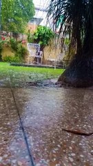 Beautiful view of Nature | Heavy Rain