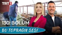 Bu Toprağın Sesi 130. Bölüm – Sürdürülebilir Tarımın Temeli; Küçük Aile İşletmeleri