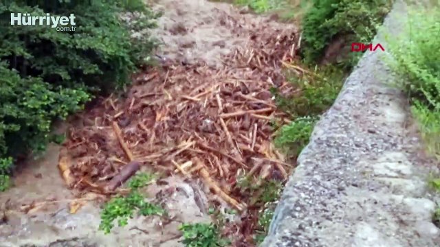 Doğu Karadeniz'de 'sel-heyelan' riski arttı; kritik 2 ay uyarısı