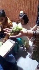 playing with baby parrot #viral