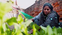 The kitchen gardens thriving at the foot of a landfill