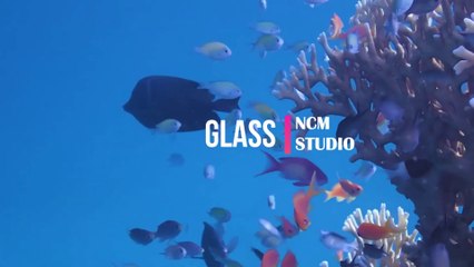 Glass - Anno Domini Beats: Pop Music, Bright Music, No Copyright Music @NCMstudio18