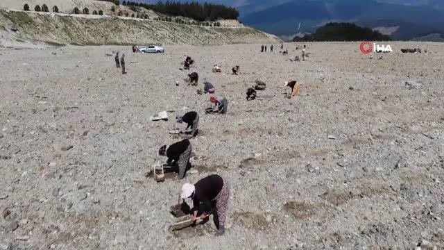 Kazdağları'nda 300 dönümlük eski maden sahası lavanta bahçesi olacak