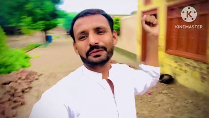 Windstorms and poisonous bees are my loss