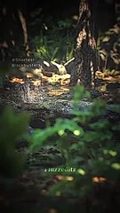 Japanese Mythology "kappa" Also Known