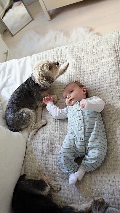 Dog sitting beside a baby | Cute Baby | ❣️❣️