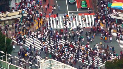 What If Everyone Lived in One Building