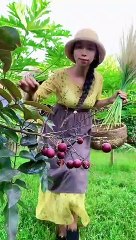 Enjoy beautiful nature with rural life