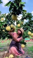 Enjoy beautiful nature with rural life