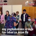 Sanhi ng bird flu? Mga patay na sea lion, nagkalat sa pampang | GMA News Feed