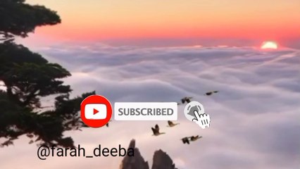 Urdu Kahani: Morals & Lessons 📖