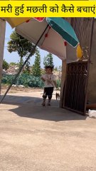 Machli ki kaise jan bachai