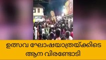 ഉത്സവ ഘോഷയാത്രയ്ക്കിടെ ആന വിരണ്ടോടി; അഞ്ചുപേർക്ക് പരിക്ക്