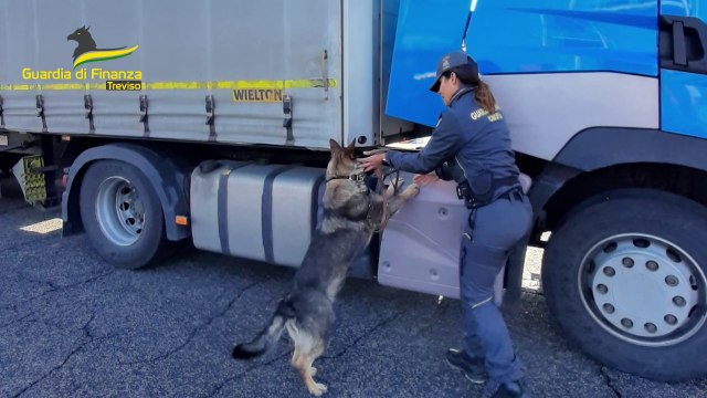 Treviso, nascondeva su un Tir 280mila euro in contanti. Denunciato