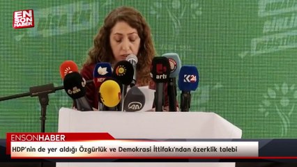HDP’nin de yer aldığı Özgürlük ve Demokrasi İttifakı'ndan seçim beyannamesinde özerklik talebi
