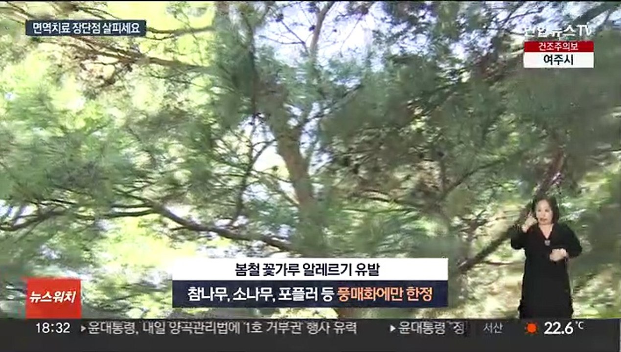 꽃가루 두렵다면 면역치료도…"적어도 3년 이상 필요"