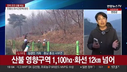 홍성·대전 산불 진화 난항…야간 확산 저지 총력