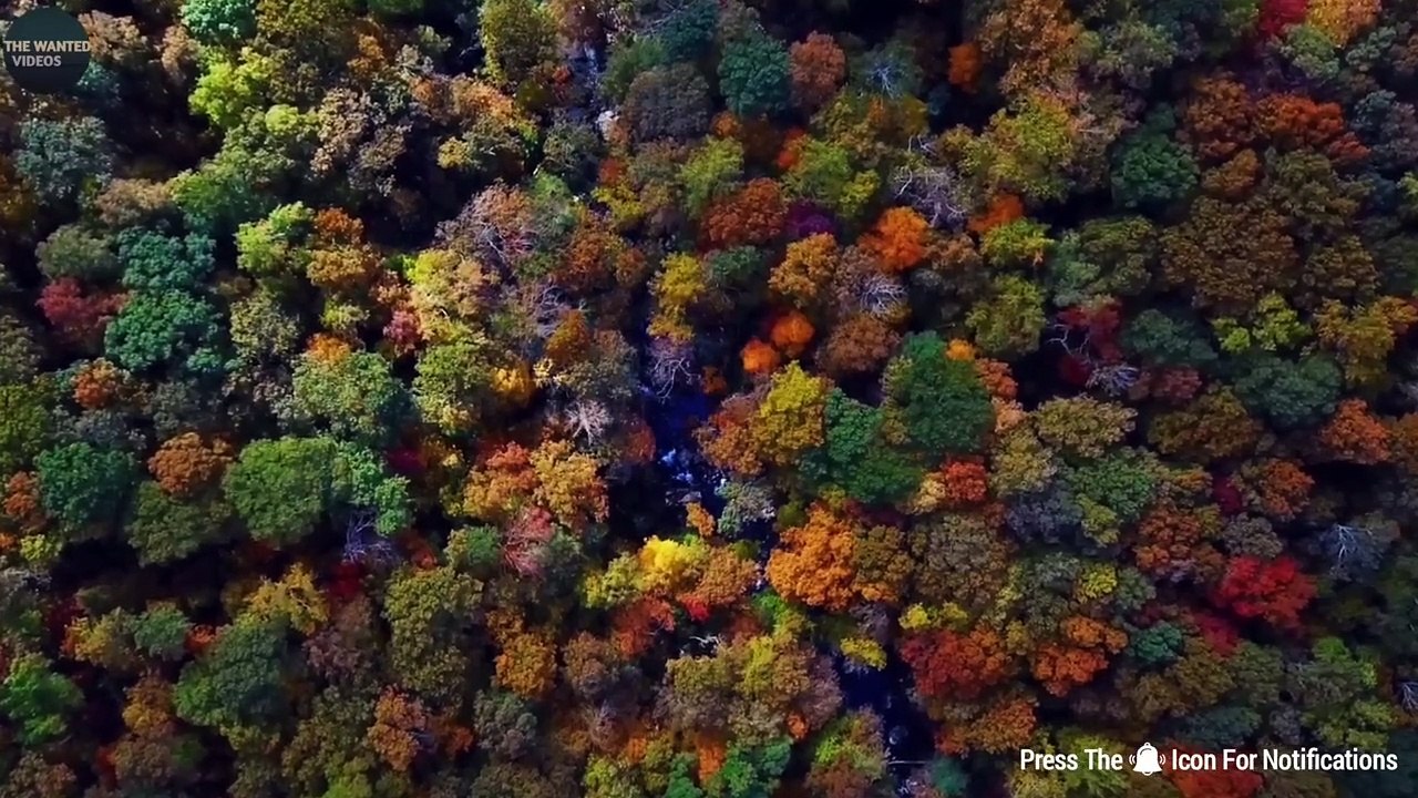 FUNNIEST PAPA KI PARI MOMENTS CAUGHT ON CAM