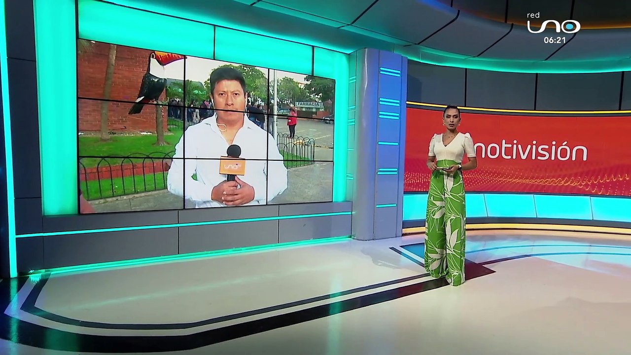 Mujer apuñalada en la espalda y en el cuello por su expareja, se recupera de salud