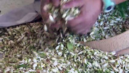 L'eau de fleur d'oranger, l'élixir tunisien