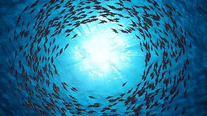 istockphoto-1255754954-640_adpp_is