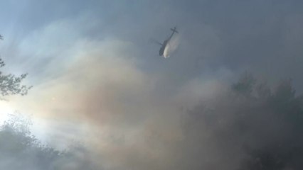 충남·전남 산불 계속 이어져...강풍에 밤샘 진화 예정 / YTN