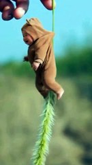 Cutebaby, Fun overloaded, Magic,