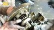 Car Engine Restoration | Car Engine Repair Videos | Suzuki Mehran Engine