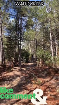 Tranding Tranding Videos Today Tranding Shorts #tranding #trandingshorts #shorts #viral 3 -4-23 (6)