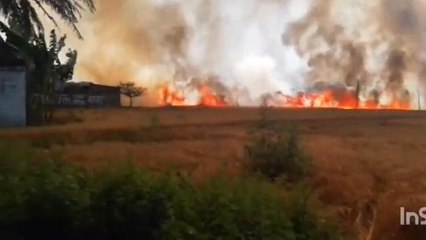 वैशाली: बिजली शॉट सर्किट से गेहूं की फसल में लगी भीषण आग, लाखों रुपये की हुई स्वाहा