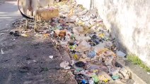 नियमित नहीं हो रही सफाई, शहर में मुख्य मार्गों पर जगह-जगह लगा कचरे का ढेर