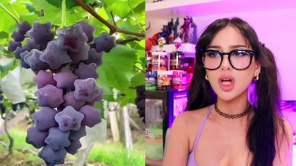 Cool Things You've Never Seen Before - SSSniperWolf  Reaction - Funny Tik Toks