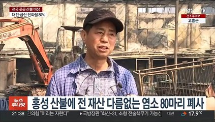 주민 터전 앗아간 산불…평생 키운 염소 떼죽음