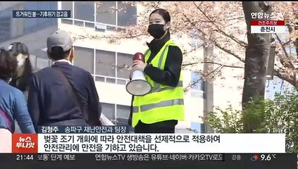 반소매 벚꽃·더운 식목일…우리가 알던 봄이 사라진다