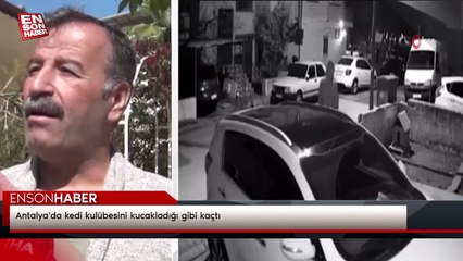 Antalya'da kedi kulübesini kucakladığı gibi kaçtı