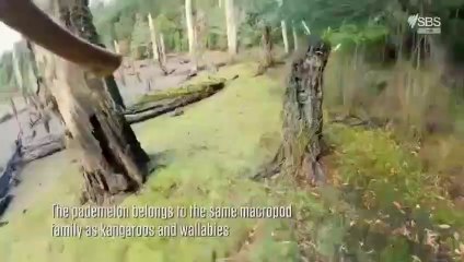 Alone Australia S1 Ep 2 -S01E02