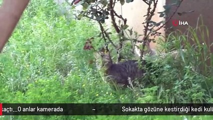 Sokakta gözüne kestirdiği kedi kulübesini kucakladığı gibi kaçtı...O anlar kamerada
