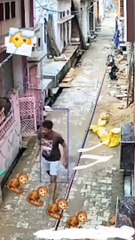 Awwww! A Monkey FIGHTS A Man In The Street LIKE JOHN CENA #WWE #Funny_ANIMALS