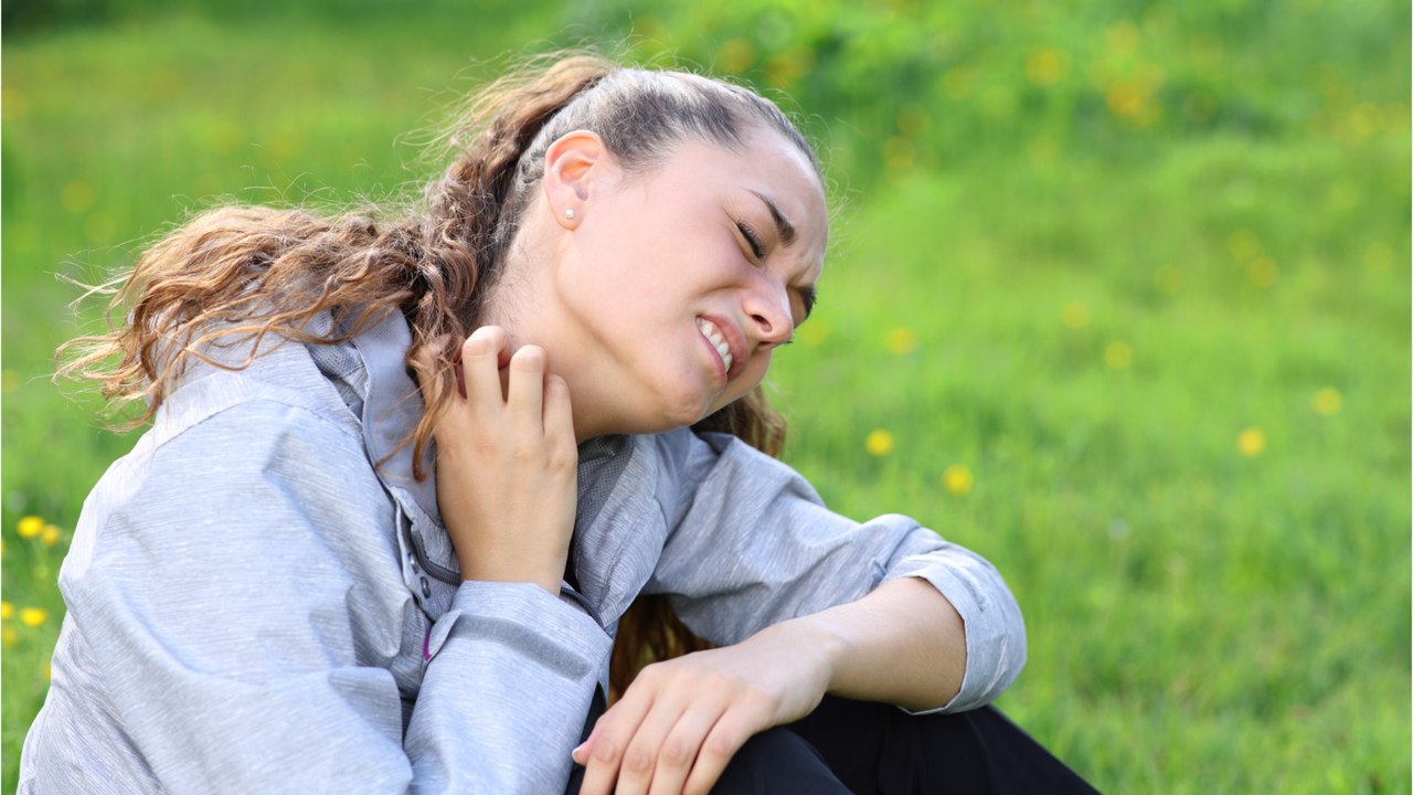 "gute startbedingungen": erste stechmücken schlüpfen wieder