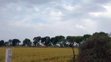 Weather News-  राजस्थान के मौसम को लेकर बड़ा अपडेट
