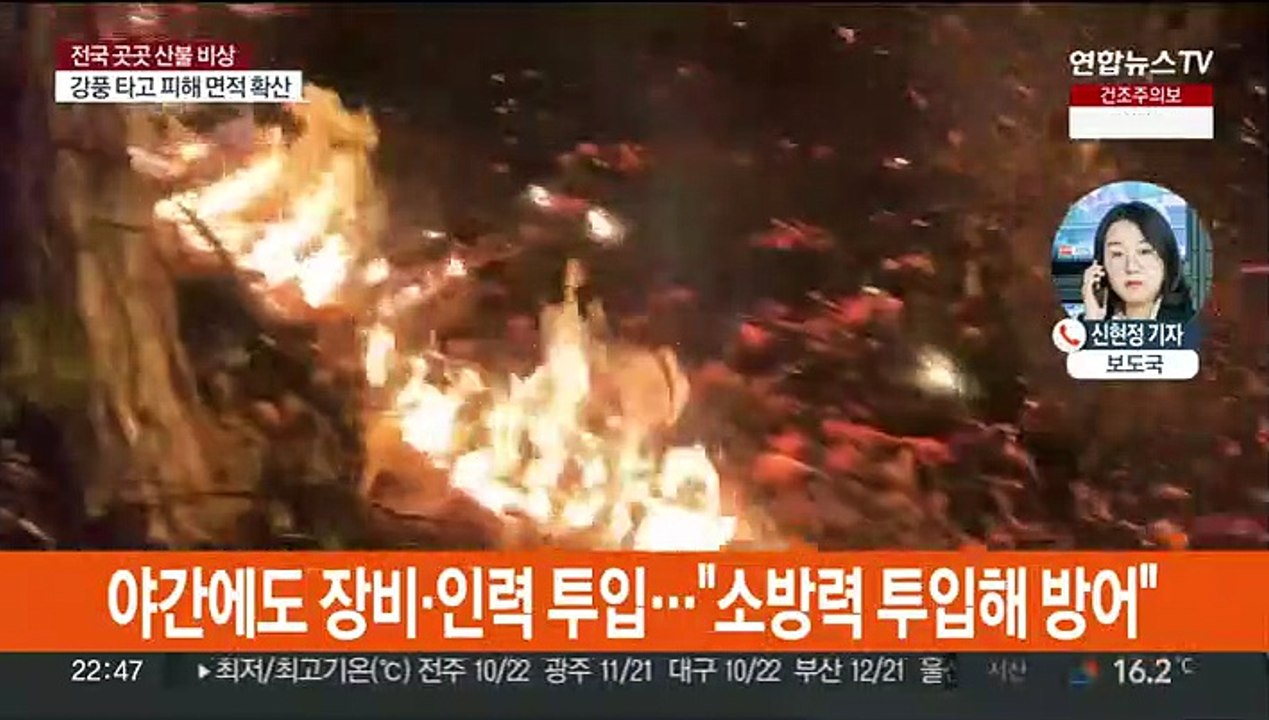 경북 영주 대응 3단계…홍성·대전 이틀째 진화작업