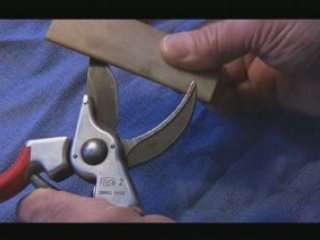 Sharpen Your Pruning Tools