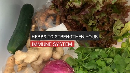 Herbs To Strengthen Your Immune System