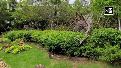 What Shenzhen Geopark Museum Doesn’t Want You to Know: They Have Dinosaurs!