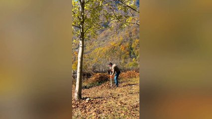 Hermits Cooking Delicious Beef Tongue High in the Mountains! ASMR Relaxing Outdoor Cooking